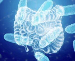 Alerta en Florida: Bacteria en playas cobra la vida de cuatro bañistas